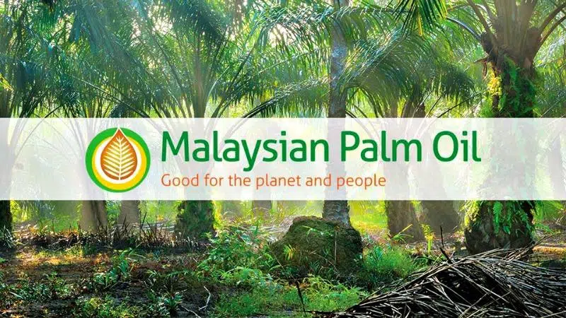 A Part Of The Food Industry That's Good For The Planet & People