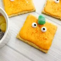 Spookley the Square Pumpkin