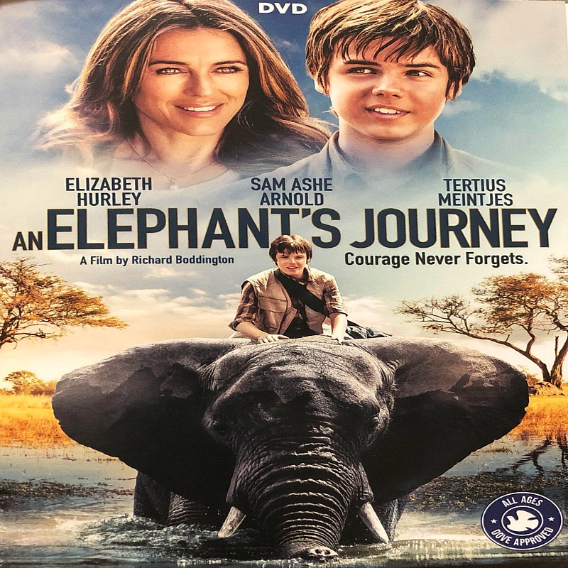 "An Elephant's Journey" - A Touching Movie About A Special Elephant