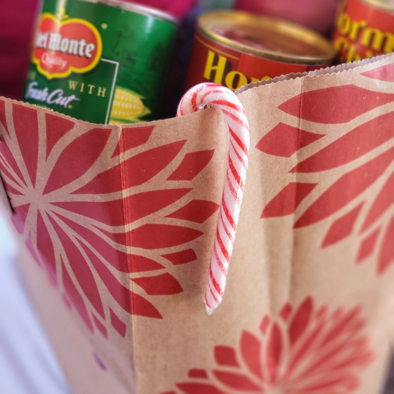 Grocery bag filled cans and pillow