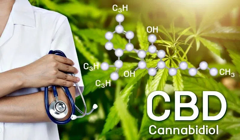 Learn Everything You Need About The Wonders Of CBD