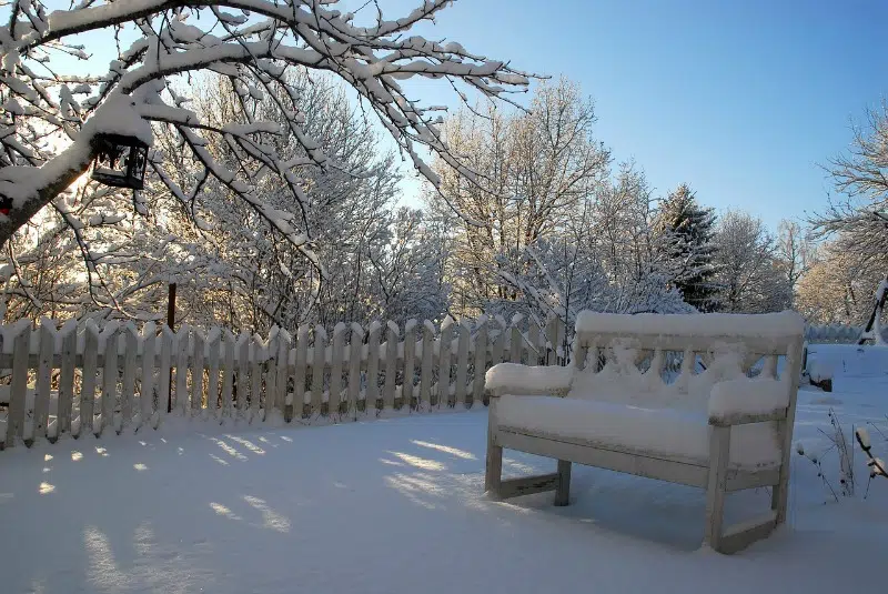 Preparing Your Backyard for Winter: Some Tips and Tricks