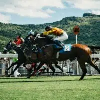 The History of Horse Racing