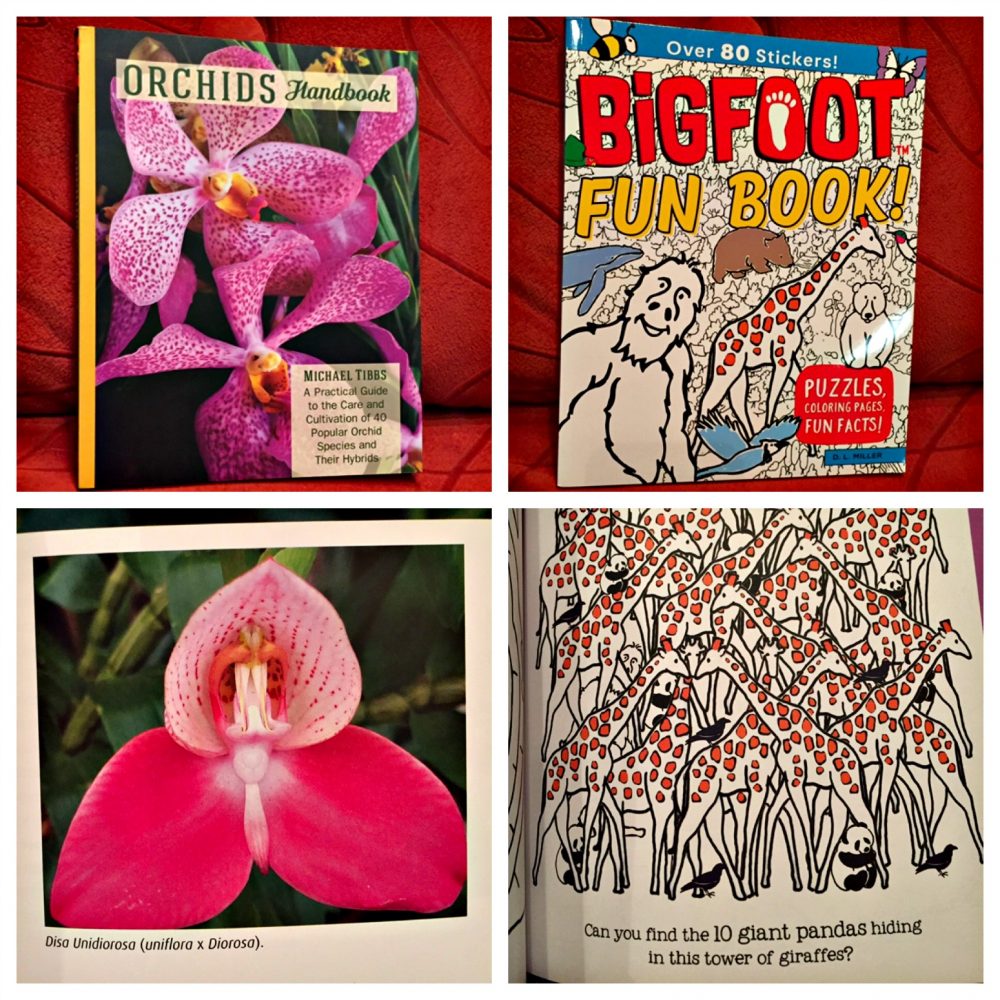 The Orchids Handbook and Bigfoot Fun Book! - Two Great Books For Fun And Learning