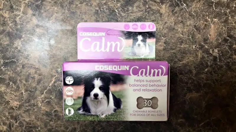 Support & Balance Fit For Dogs Both Big And Small
