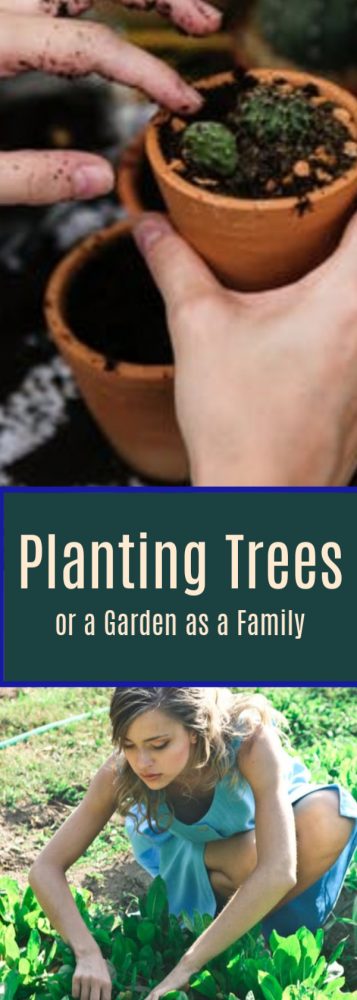 Before you know it, spring will be here and we'll all be outdoors more and enjoying some sunshine. Early spring is a good time to plant since it's not too cold or hot. While not everyone might have a green thumb, perfect family activity is to plant a tree together. If you don't have room for a tree, a small garden can be a choice. Both will grow right along with your children and will not only teach them responsibility but also provide you and your family with great memories.