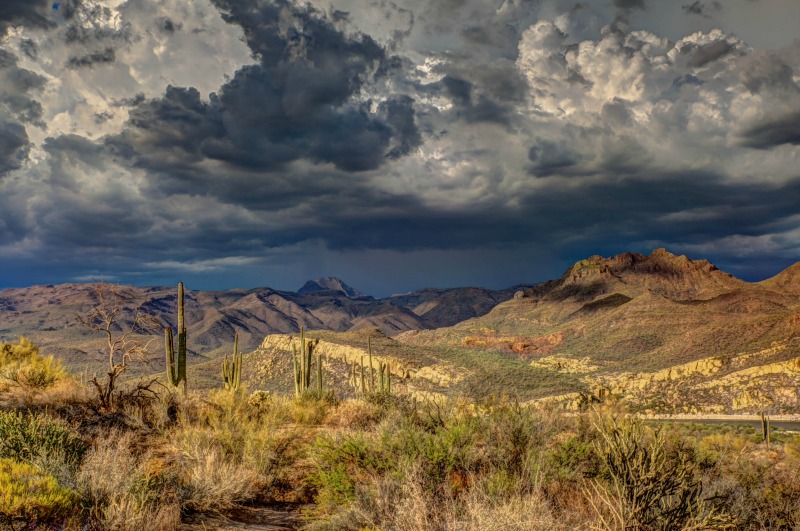 The 5-Step Arizona Land and Home Buyer's Guide