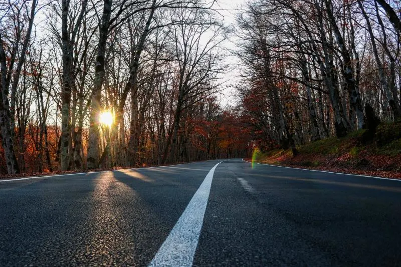 Enjoy A Trip Through The Wonders Of Georgia With The Family