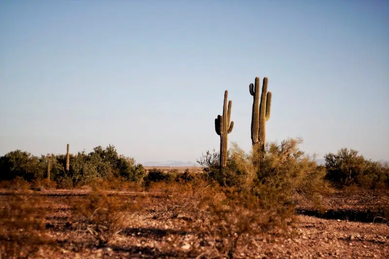 Surprising Stops In Arizona To Include In Your Itinerary