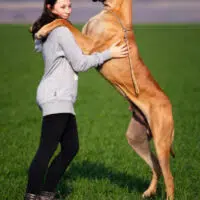 Parenting 101: Choosing the Best Pet for Your Kids