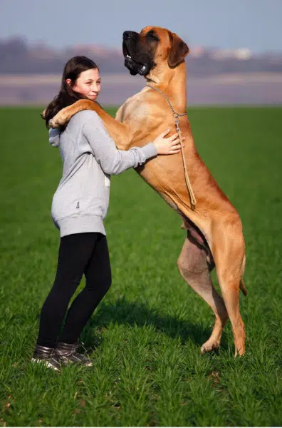 Parenting 101: Choosing the Best Pet for Your Kids