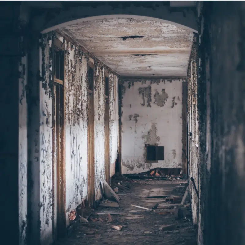 mold on walls