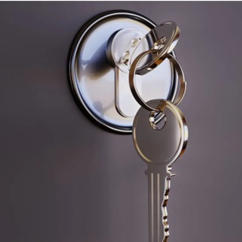 Reasons Why You Might Need a Reputable Locksmith