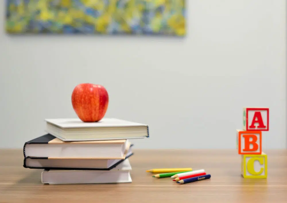 The Advantages and Disadvantages of Daycare
