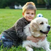 dog-friendly backyard