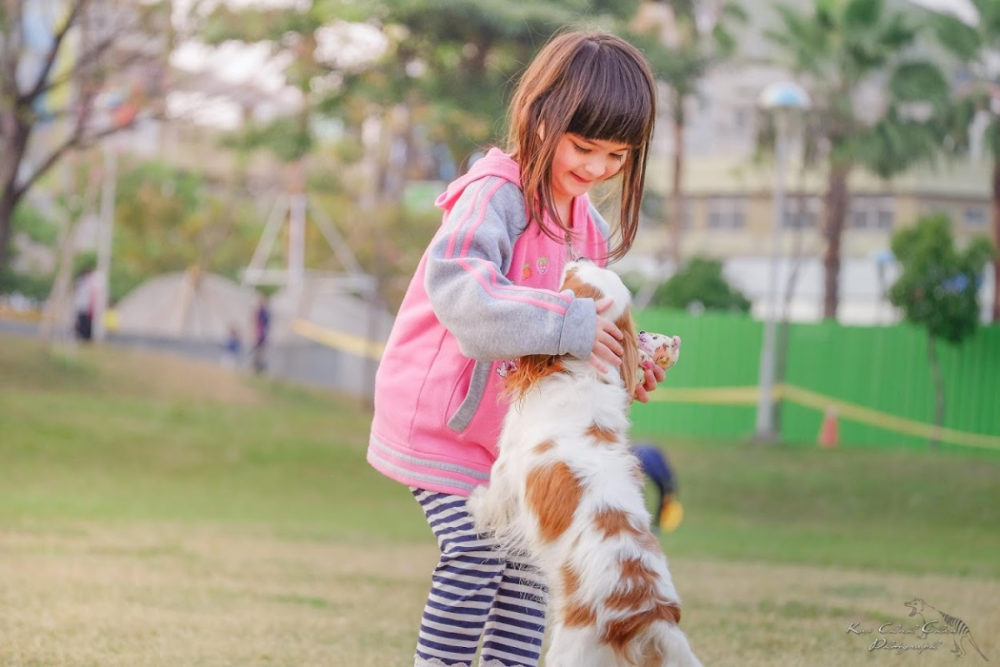 little girl playing with dog