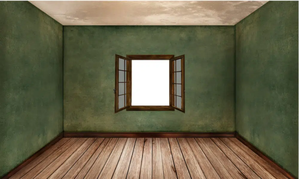 Green painted room
