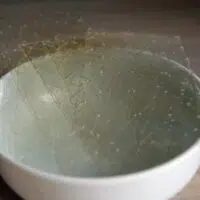 Gelatin in white bowl