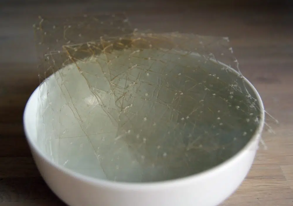 Gelatin in white bowl