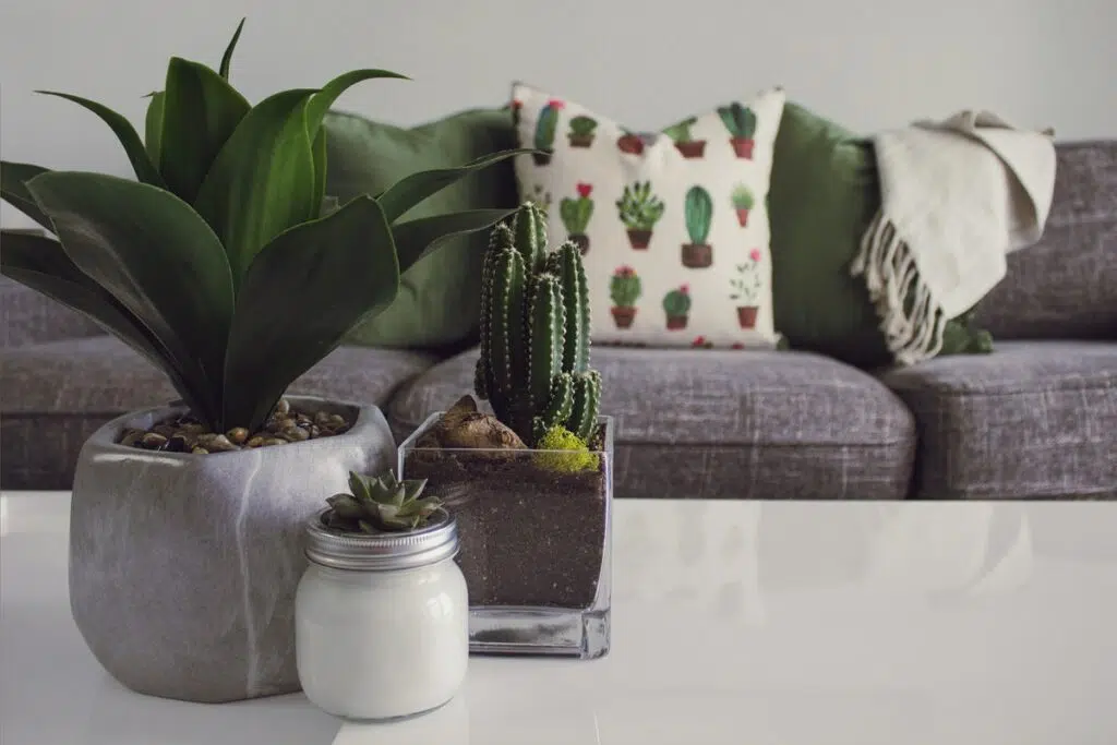 Sanctuary Home Decor Ideas To Create A Cozy Environment