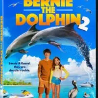 Bring Bernie Home For The Holidays