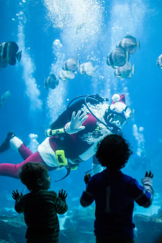 Celebrate the SEAson at Nation&rsquo;s Largest Aquarium