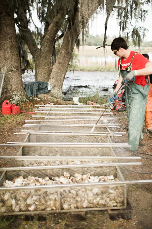 Shuck, Sip And Give Back At The 37th Annual Lowcountry Oyster Festival