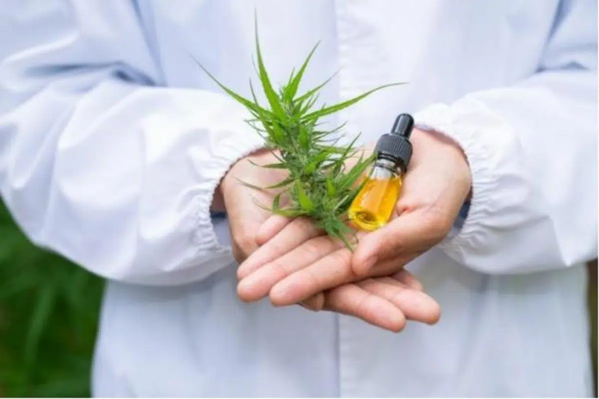 Questions To Ask Your Budtender On Your First Dispensary Trip
