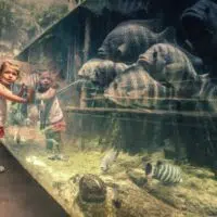 6 Reasons Why You Should Visit A Zoo On Your Next Family Vacation