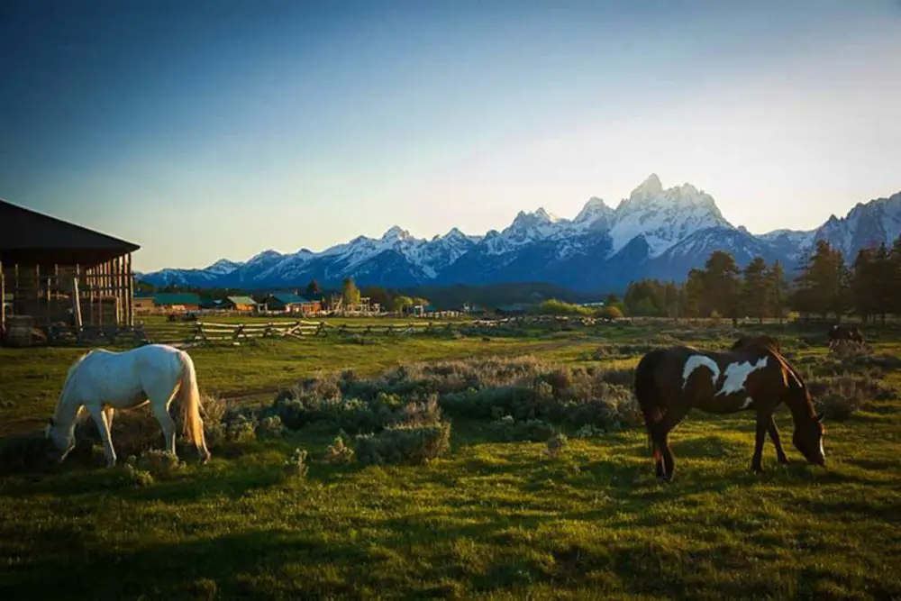 Introducing A Curated Group Of The Best Ranches From The West