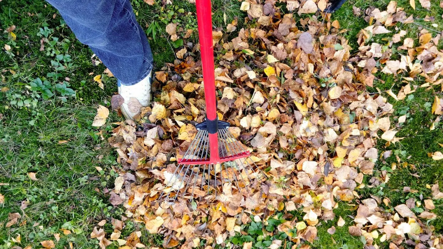 Useful Tips For Spring Cleaning Your Yard