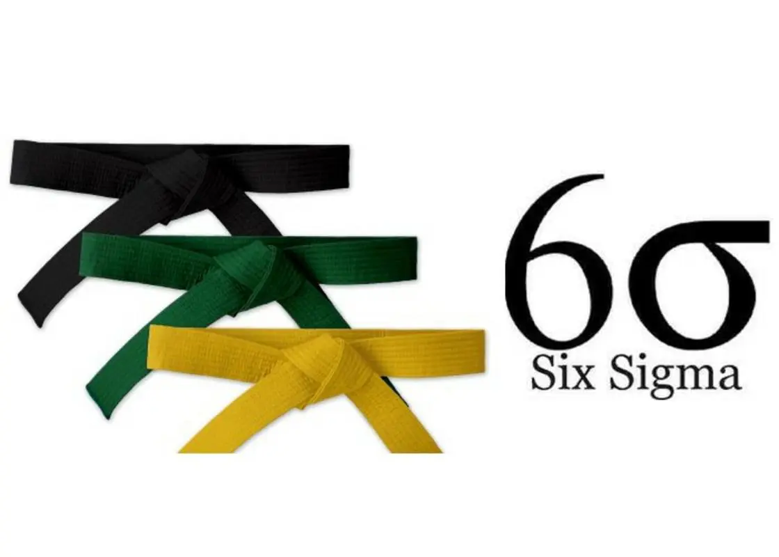 Six Sigma Certifications for Committed Professionals - Is It the Real Deal? How Exam Dumps Can Assist You?