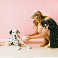 How To Introduce A Rescue Dog To Your Home