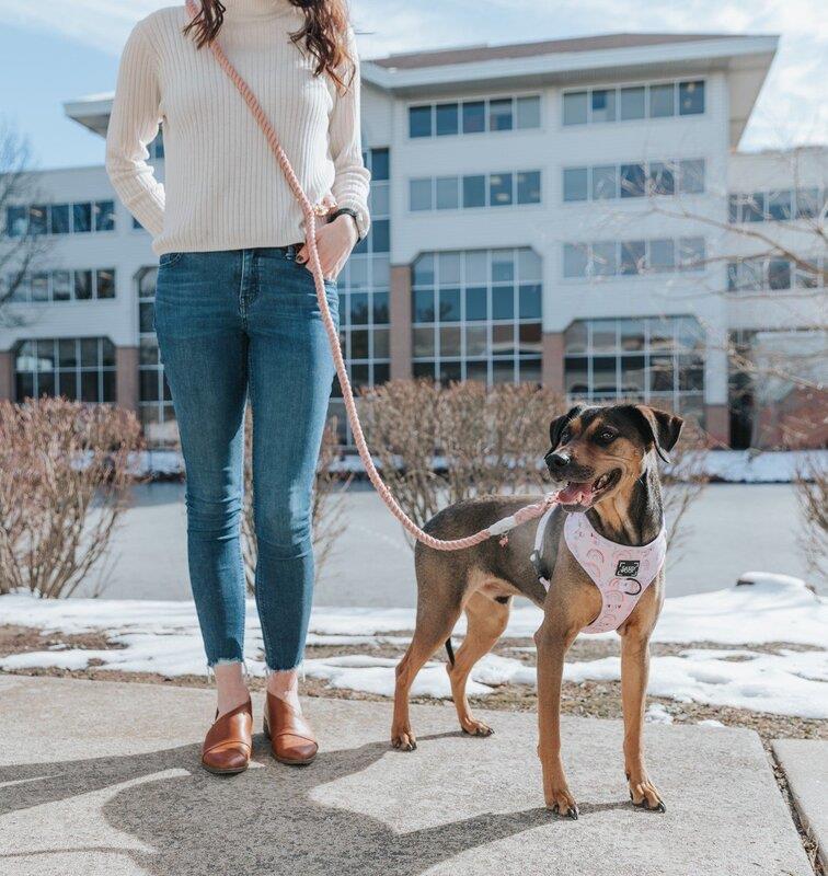 Sassy AF Spring Styles For Your Furry Best Friend