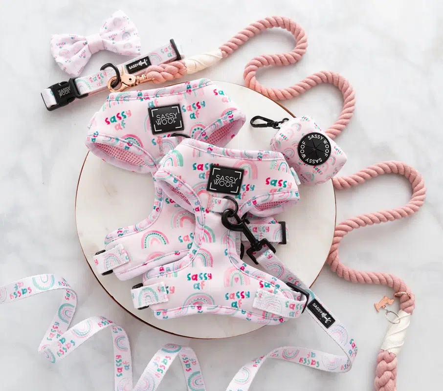 Sassy AF Spring Styles For Your Furry Best Friend