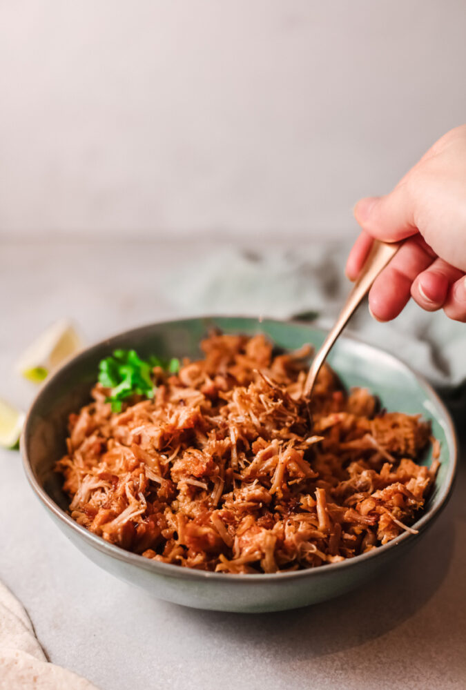 Instant Pot Mexican Carnitas 