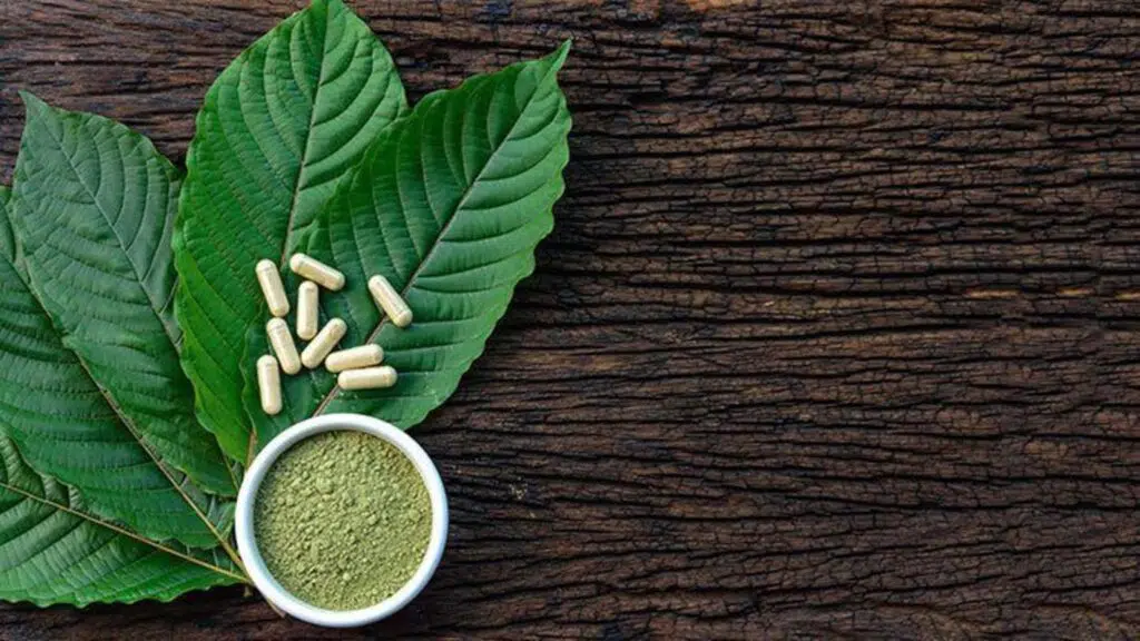 Understanding Kratom Legality: Where You Can Buy Kratom Legally