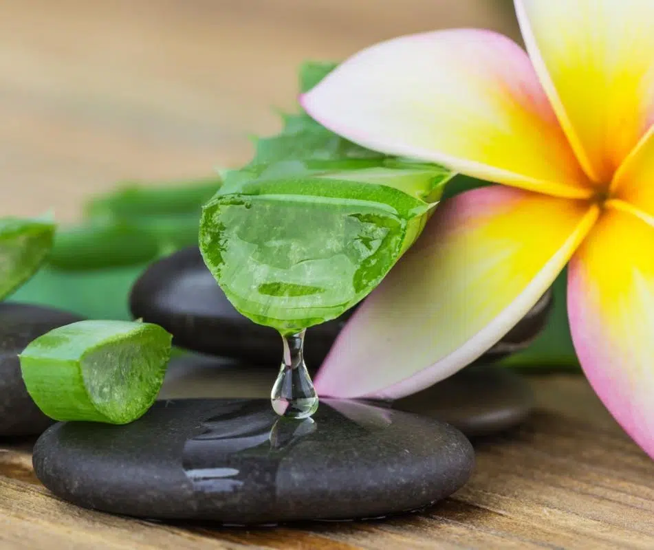 5 Quick Hacks That Cure Minor Wounds