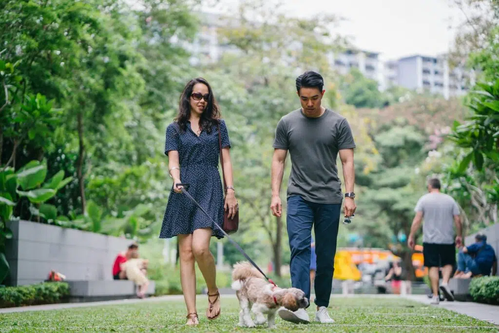 7 Essential Principles Of Having An Active Lifestyle: Are You Living Your Life To The Fullest