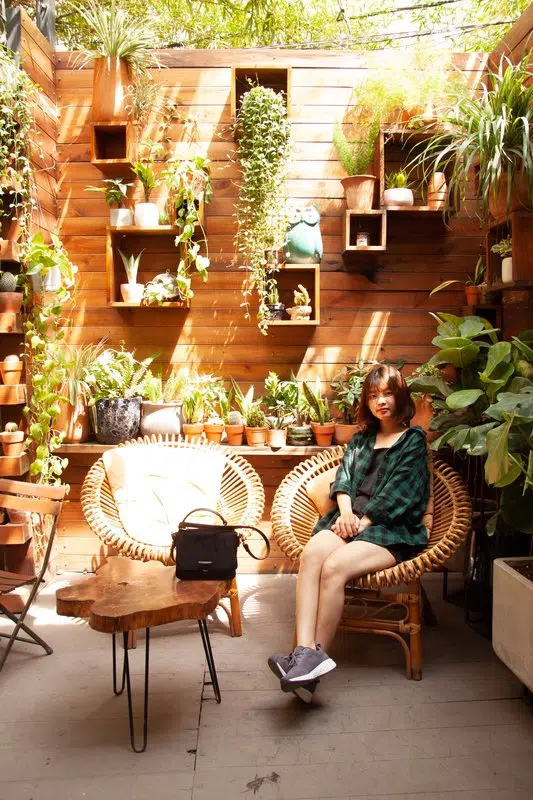 Reasons Indoor Plant Hire Can Impact Your Workspace 