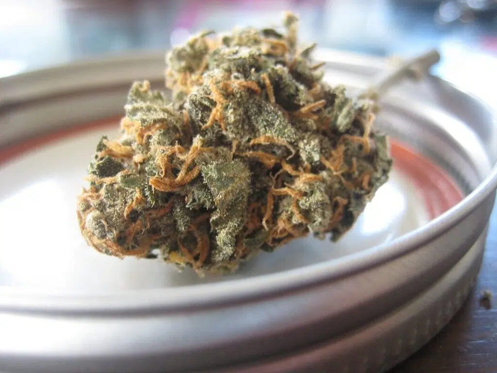 Basic Tips For Purchasing Genuine Organic Hemp Buds Online