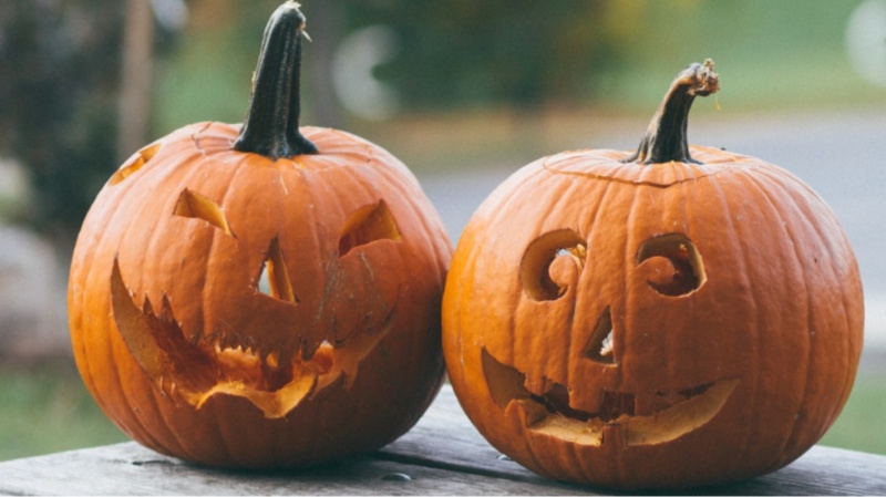 3 DIY Ideas To Make Your Yard Look Hauntingly Boo-tiful For Halloween