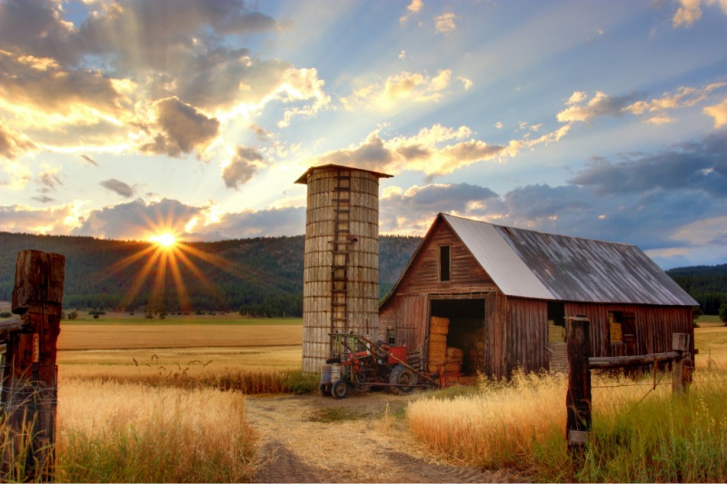 How to Make Your Farm More Sustainable