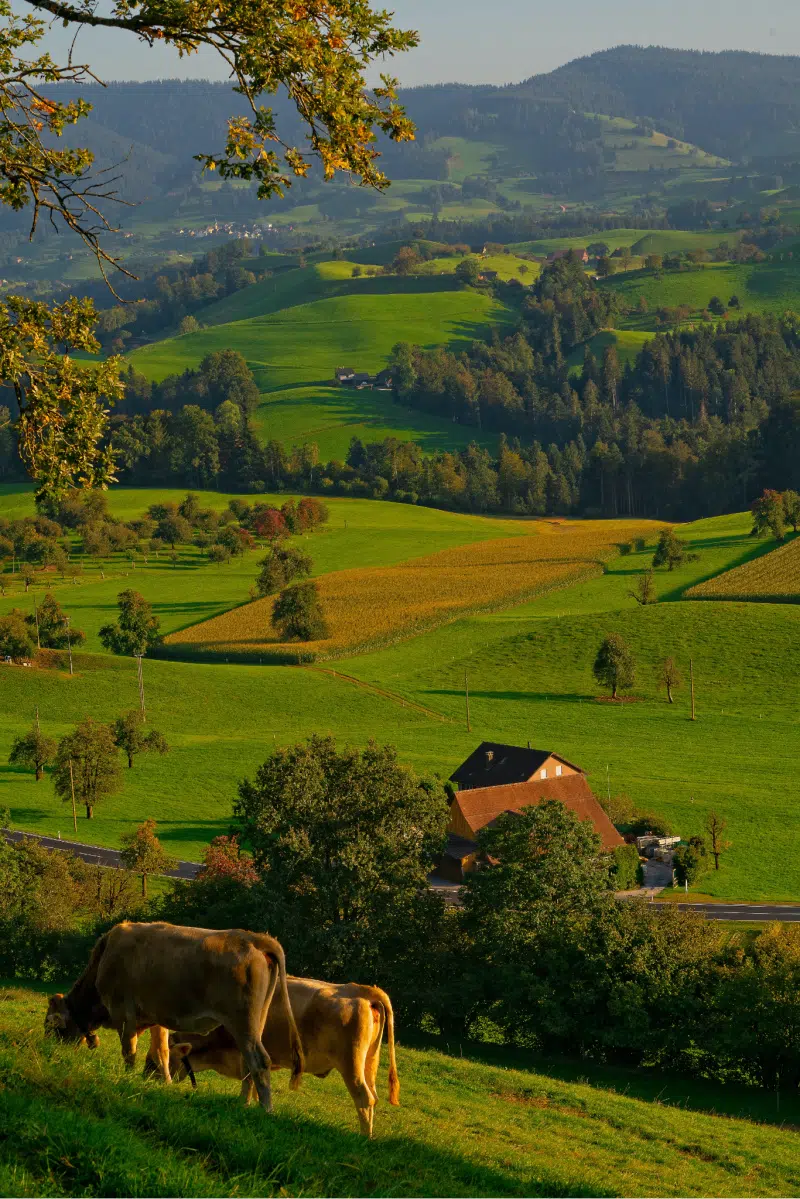 How to Make Your Farm More Sustainable