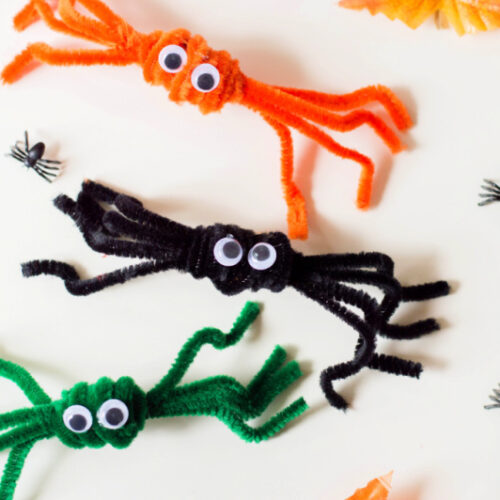 PIPE CLEANER SPIDERS CRAFT