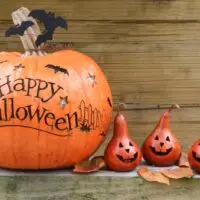 Happy Halloween on a pumpkin