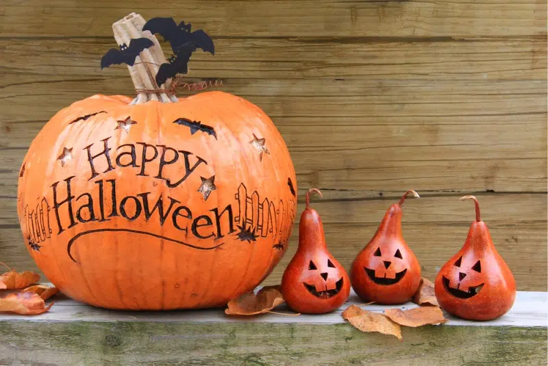 Happy Halloween on a pumpkin
