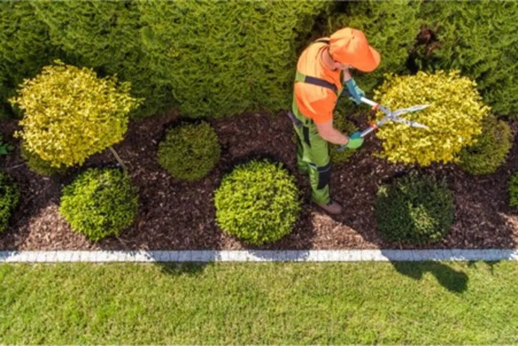 Landscaper Tips. 5 Ways To Be Better Than Other Landscapers