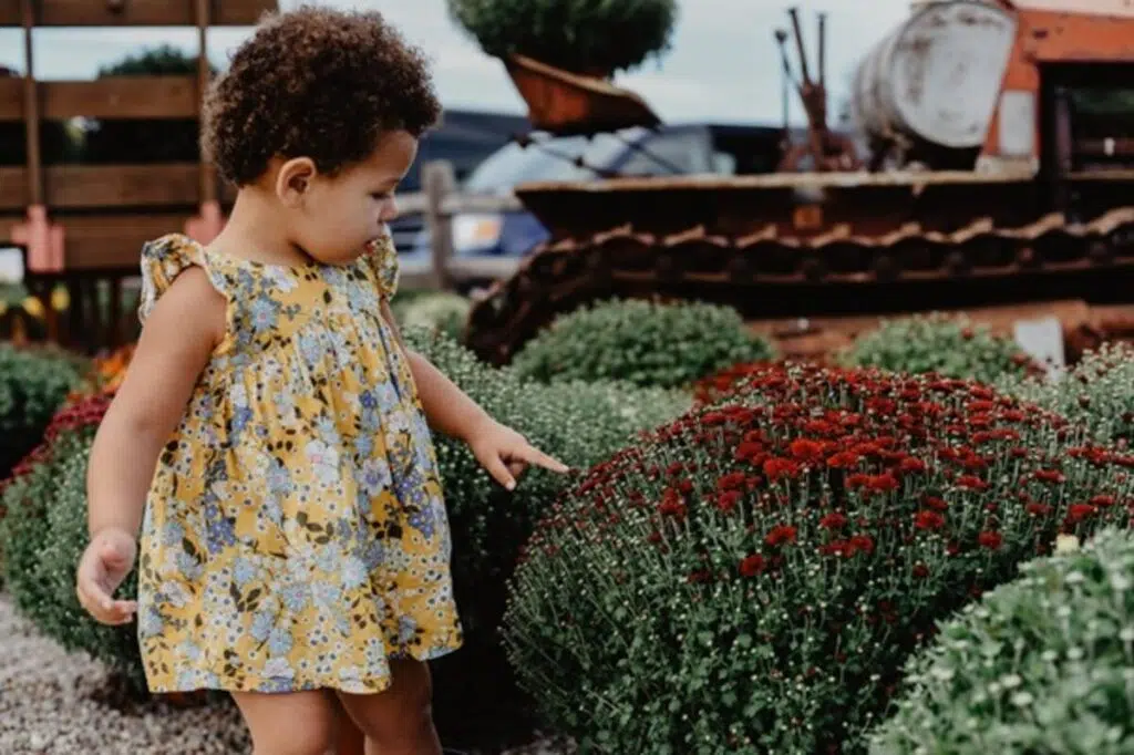 How To Make A Colourful Children&rsquo;s Flower Bed With The Child?