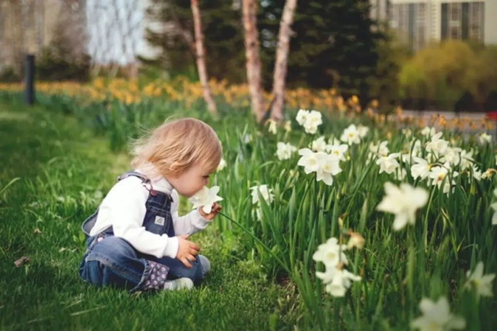 How To Make A Colourful Children&rsquo;s Flower Bed With The Child?